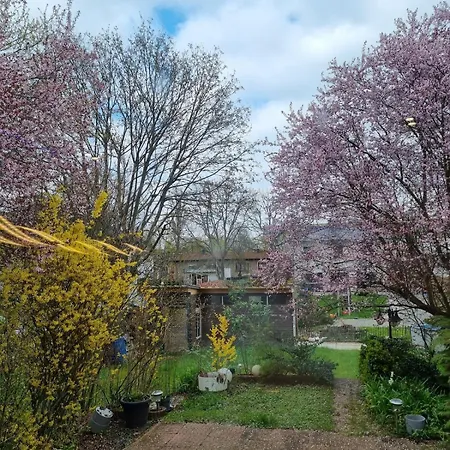 Mit Terasse Und Garten *