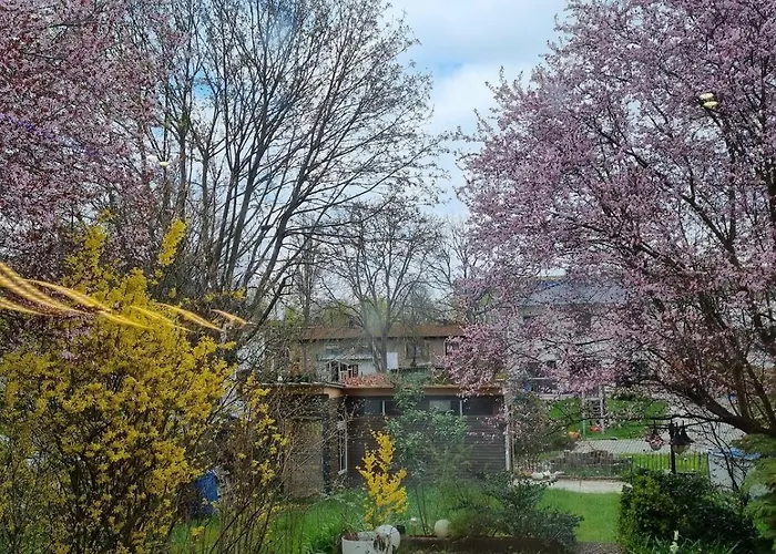 Mit Terasse Und Garten *